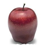   Red Delicious