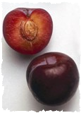   Santa Rosa