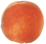  Fayette